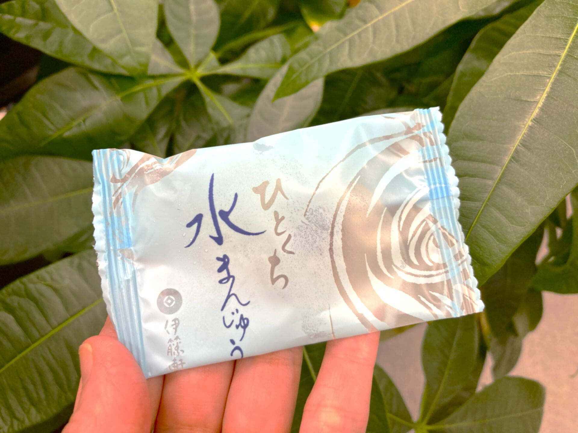水まんじゅう